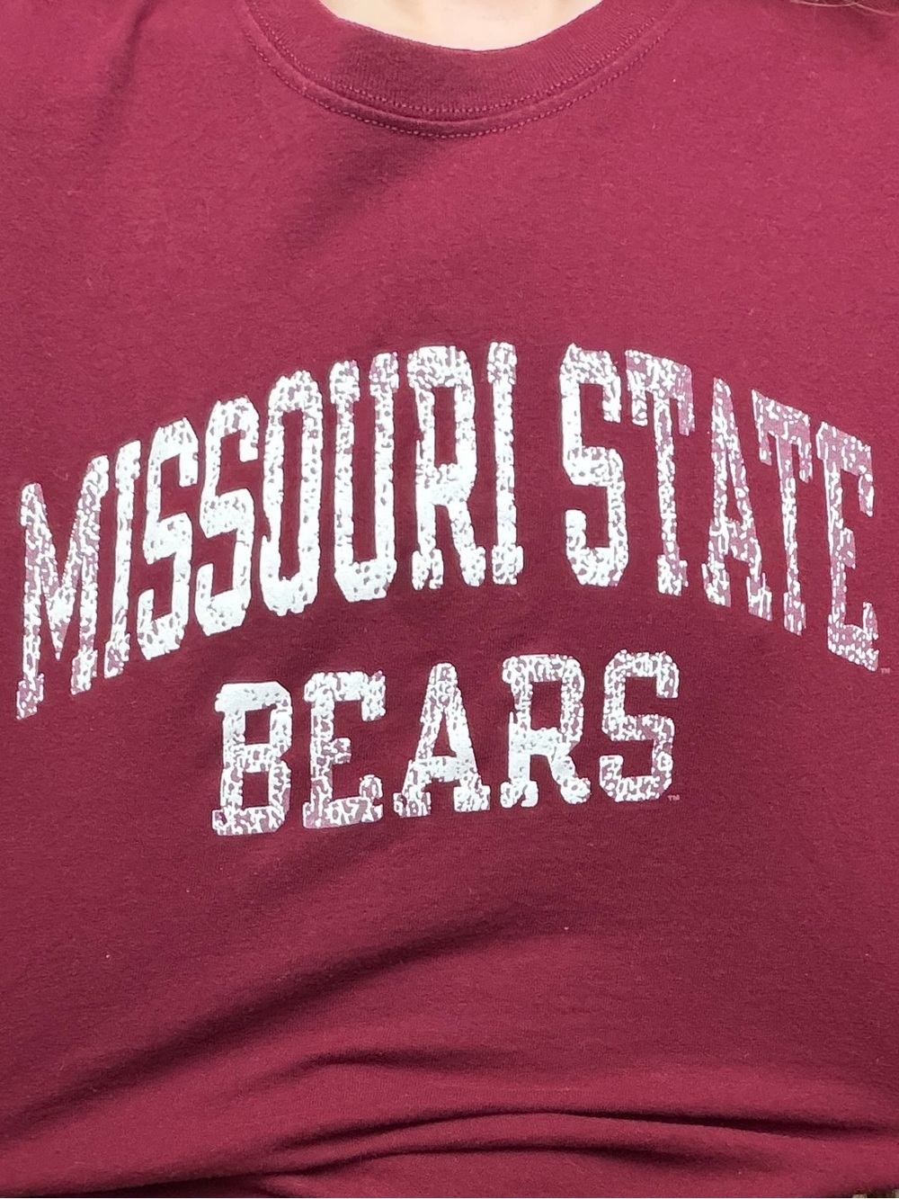 🧸 MO State Tee - Picture 3 of 3